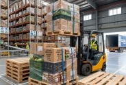 Pallet Gỗ HẢI NAM PHÁT – Lựa Chọn Bền Vững Cho Doanh Nghiệp